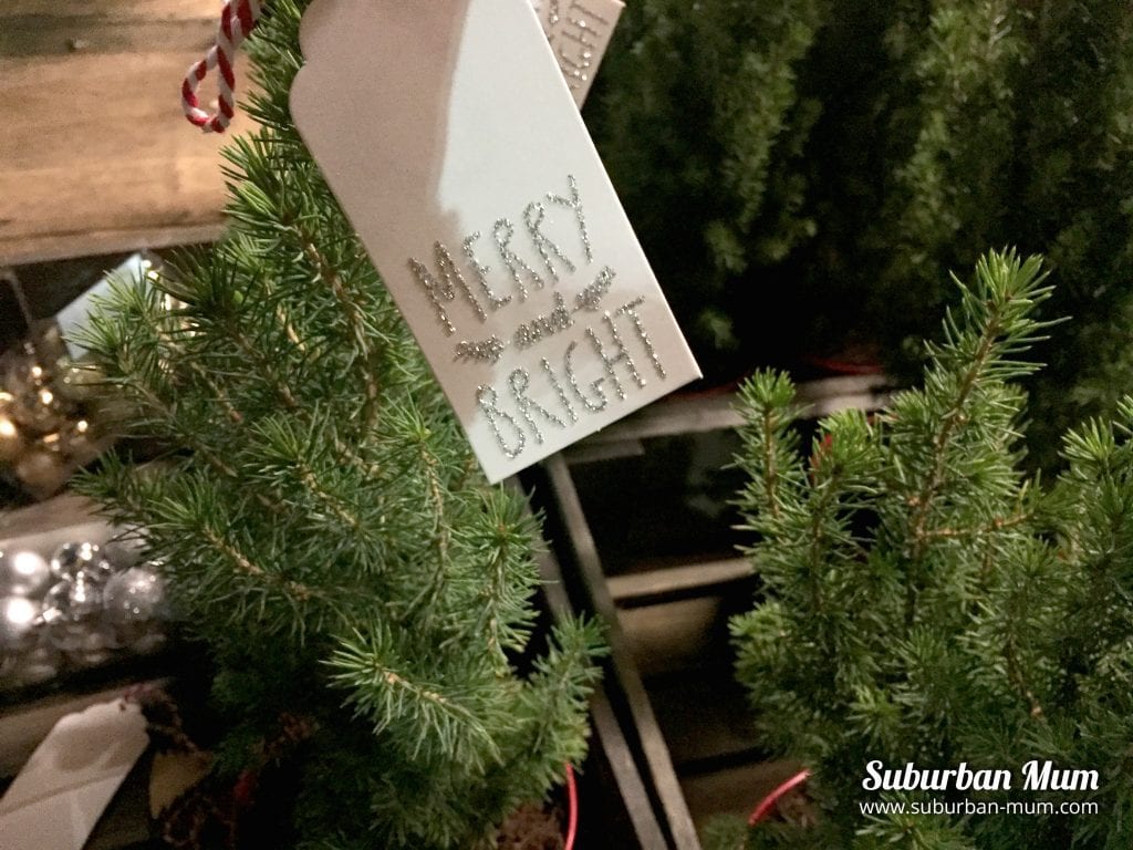 Festive Fun with a Pines and Needles Christmas tree Suburban Mum