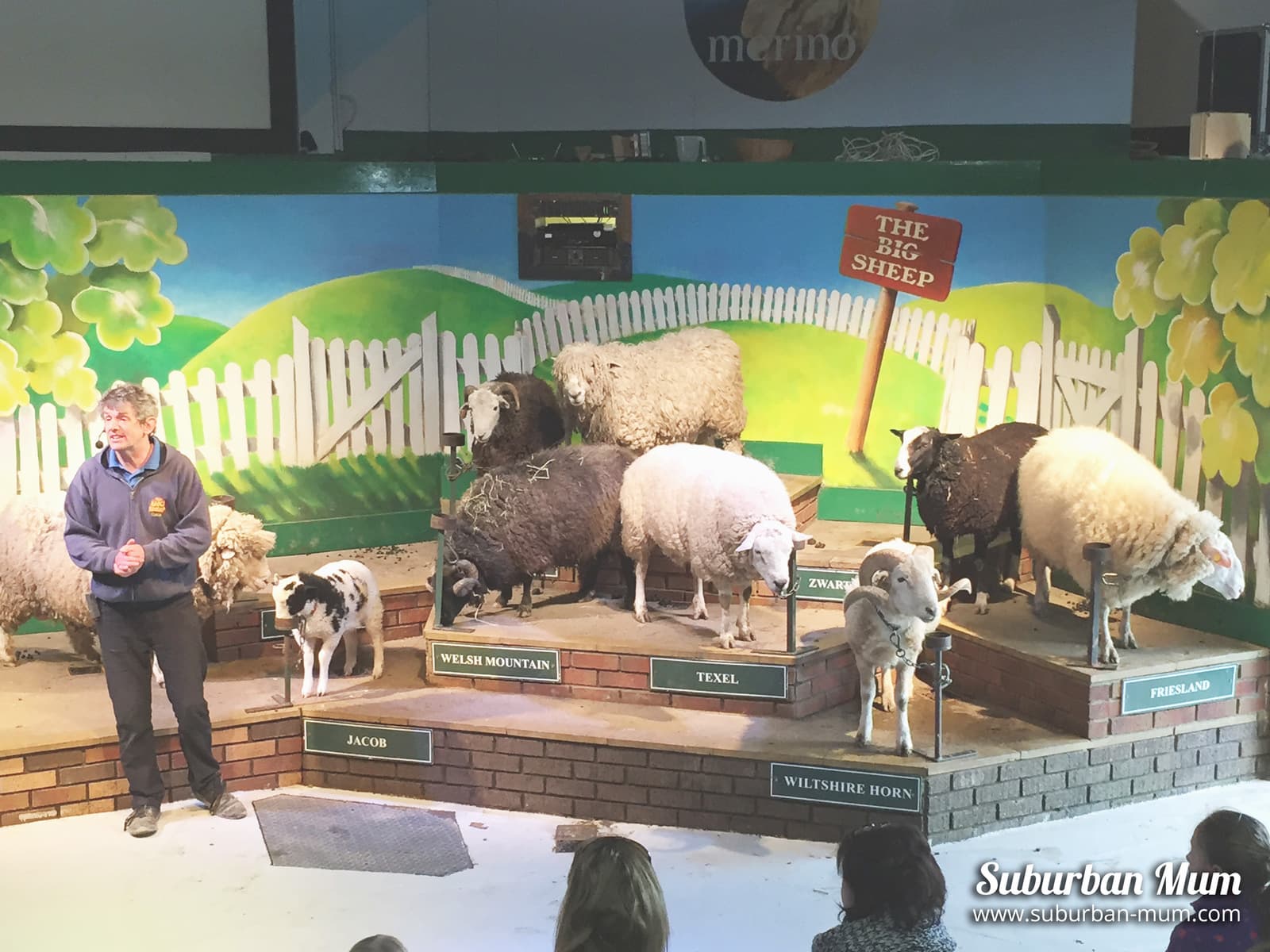 meeting-the-sheep