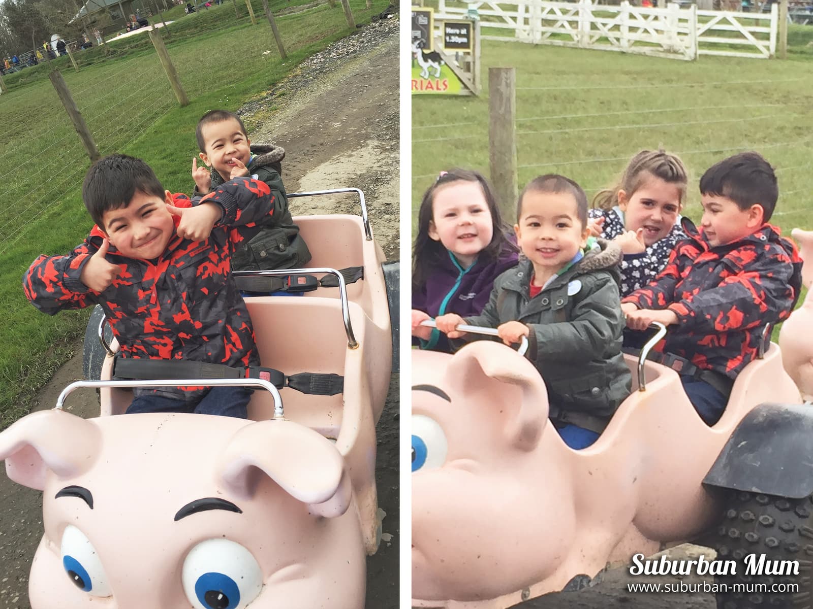 The Piggy Pull Along