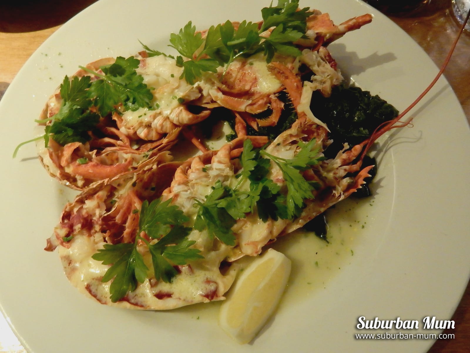belgo-dressed-lobster