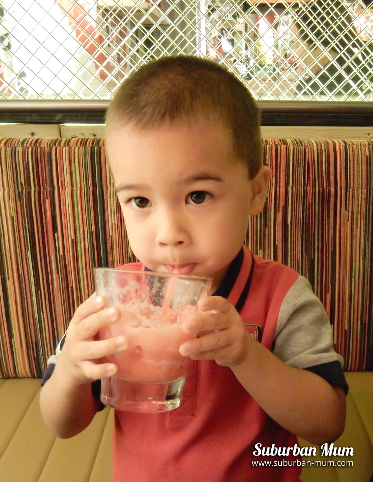 m-drink-turtle-bay