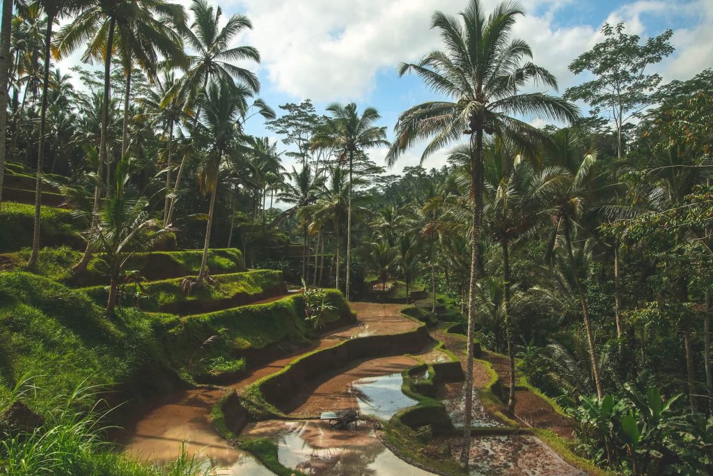 Explore Bali with kids