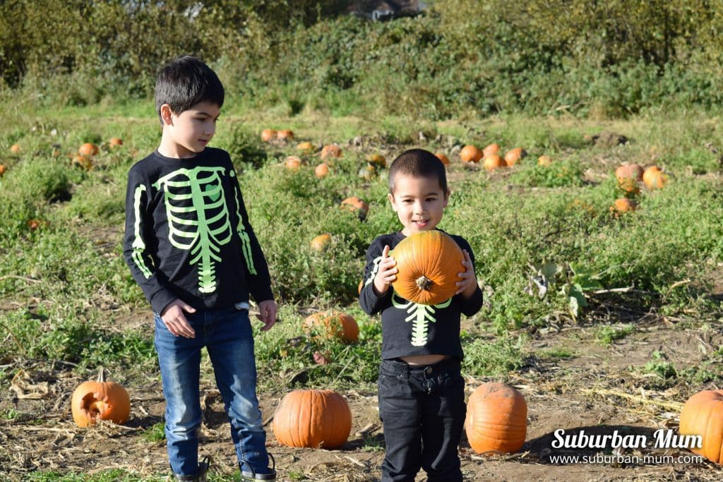 boys-pumpkin-patch