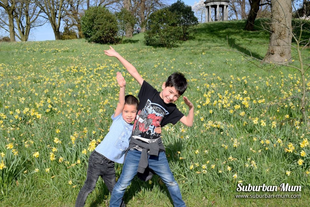 kew-gardens-boys-daffodils