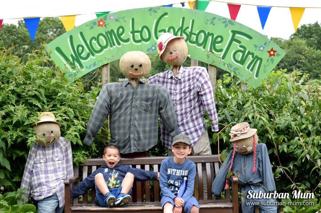 godstone-farm