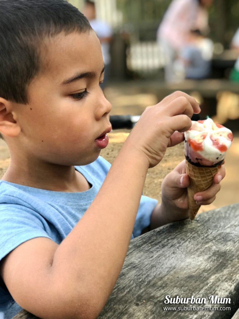 m-bushy-park-ice-cream