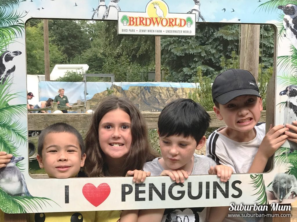 kids-at-birdworld