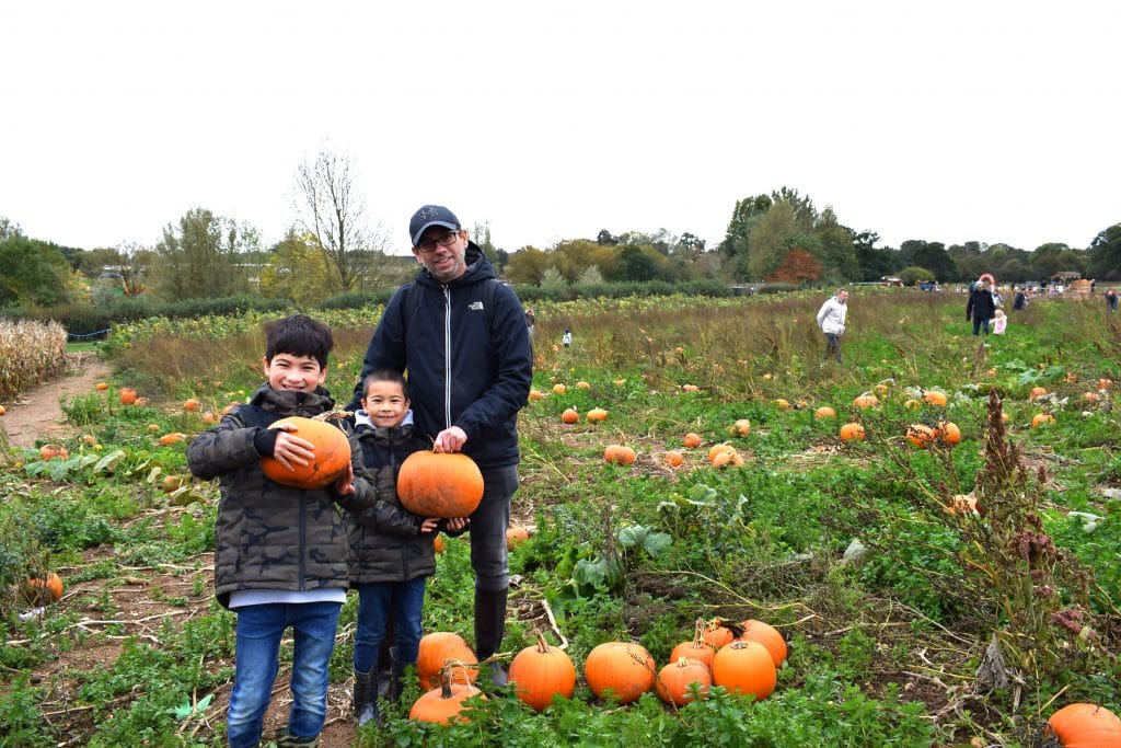 pumpkin-picking-family