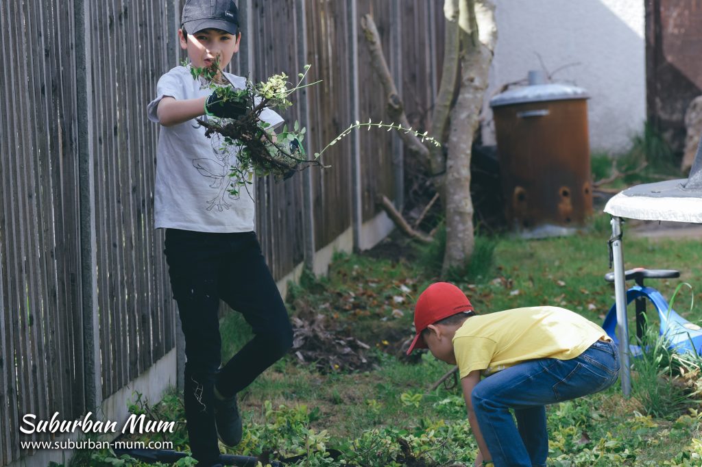boys-gardening