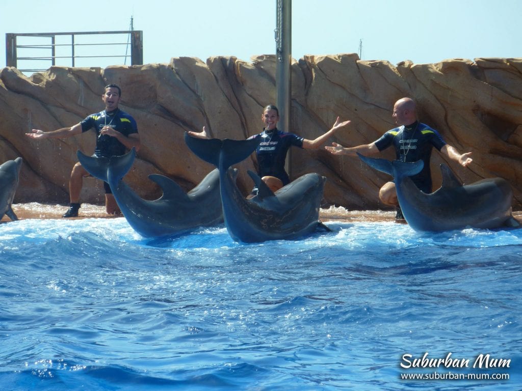palma-aquarium