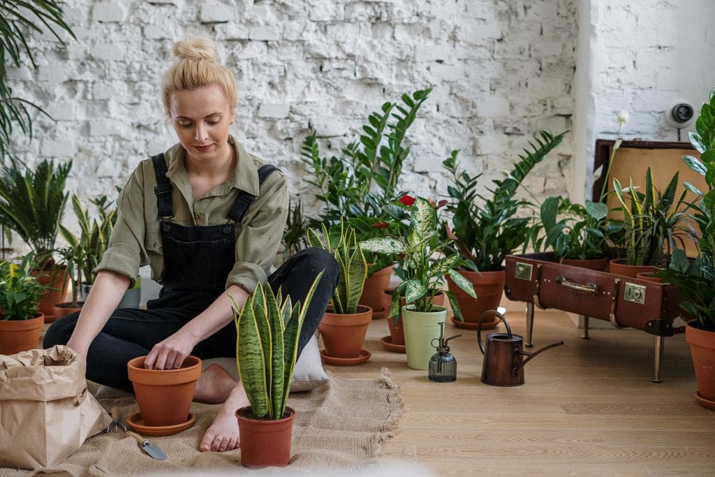 women-with-plants